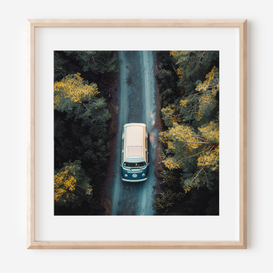 View of a Car: Forest Road | Photography Wall Art Print